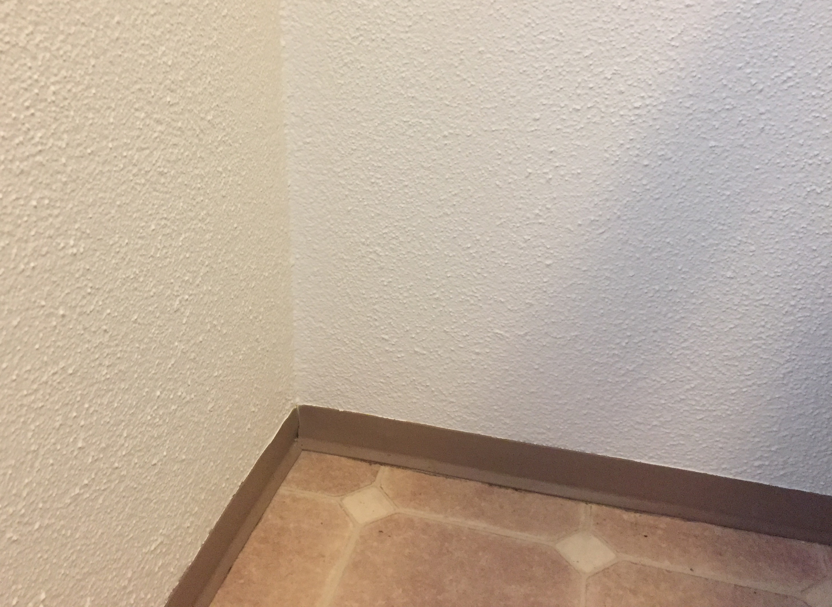 schimmelpilz in Zimmerecke entfernt